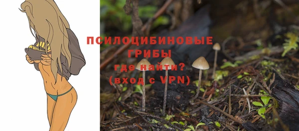 гашишное масло Богородск
