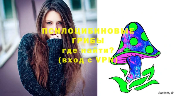 крисы Бронницы