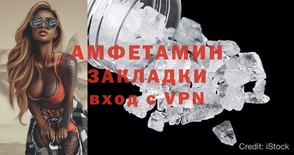 крисы Бронницы